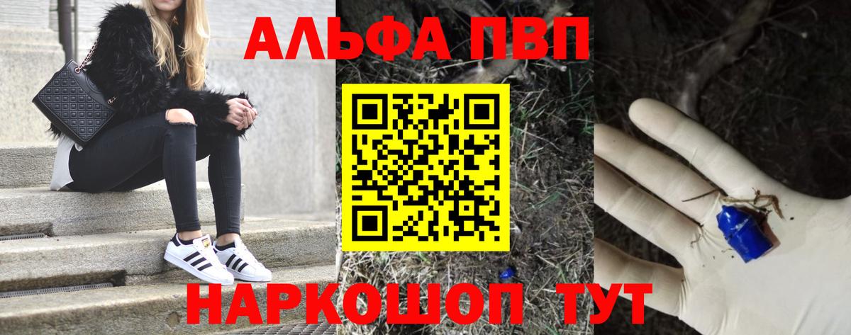 A PVP СК Сосновый Бор