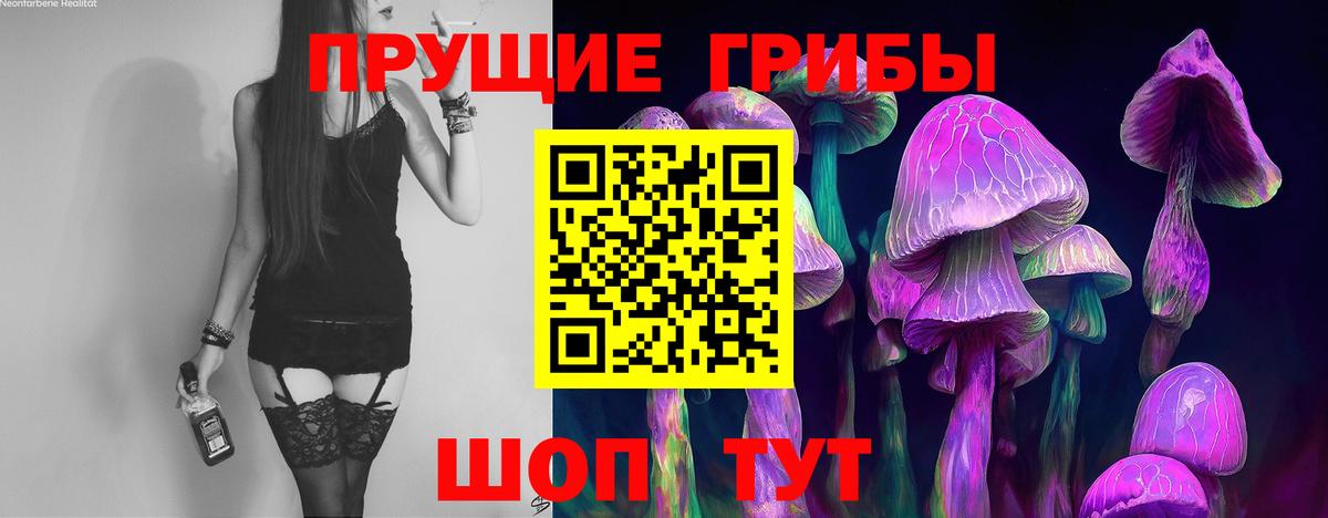Сосновый Бор  Галлюциногенные грибы GOLDEN TEACHER  Псилоцибиновые грибы MAGIC MUSHROOMS  Вход с VPN 