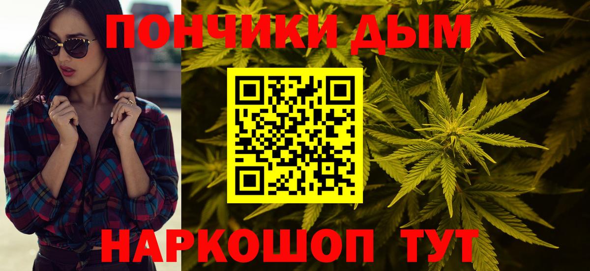 Шишки марихуана марихуана Сосновый Бор